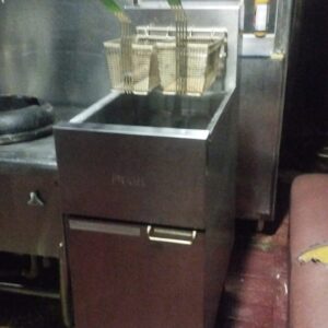 Gas Deep Fryer